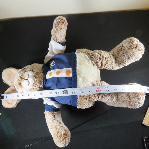 DanDee Collector's Choice Peter Rabbit Plush Toy, Movie Edition with Jacket Tag - Picture 13 of 16